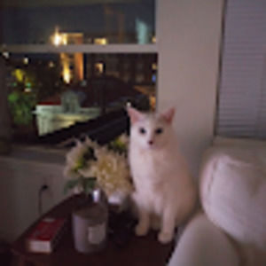 Meet your Posher, Mountain